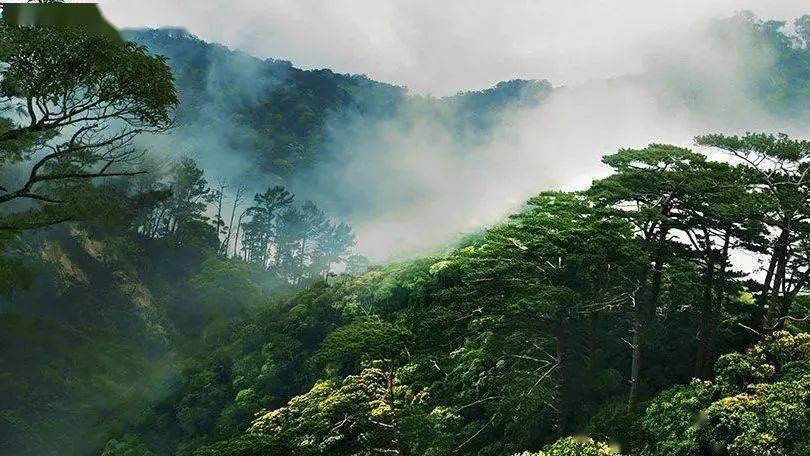天津市总工会召开天津市示范性劳模和工匠人才创新工作室暨非公企业劳动竞赛推动会