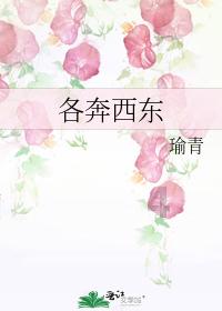 注重外貌